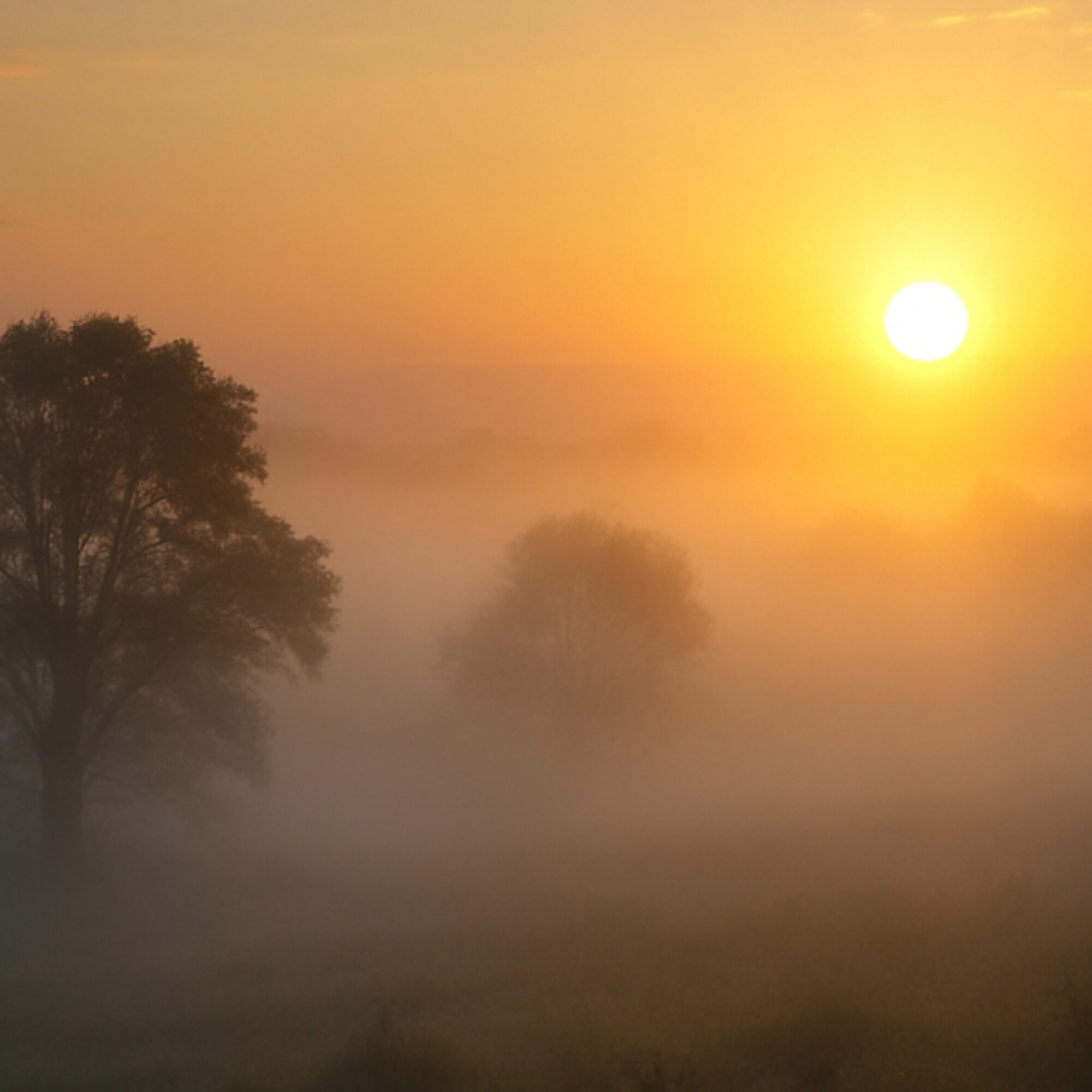 Reclaiming the Story: How Positive Re-Experiencing Aids Recovery